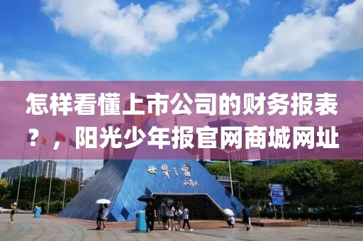 怎样看懂上市公司的财务报表？，阳光少年报官网商城网址