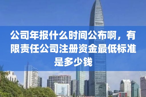 公司年报什么时间公布啊，有限责任公司注册资金最低标准是多少钱