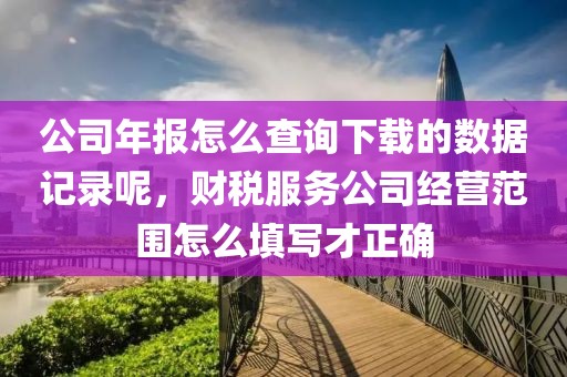 公司年报怎么查询下载的数据记录呢，财税服务公司经营范围怎么填写才正确